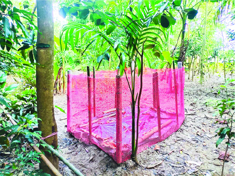 Image of  মো: জাফর আহাম্মদ